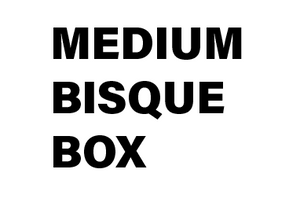 Medium BISQUE Box