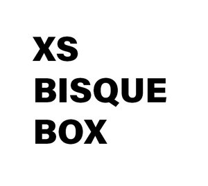 XS BISQUE Firing Box